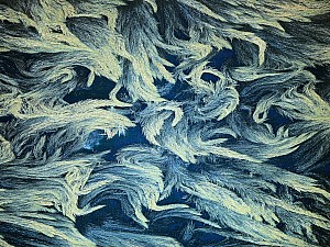 Vue du ciel - France - Seaweed In The Gulf Of Morbihan